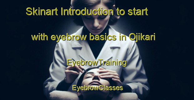 Skinart Introduction to start with eyebrow basics in Ojikari | EyebrowTraining | EyebrowClasses | SkinartTraining-Japan