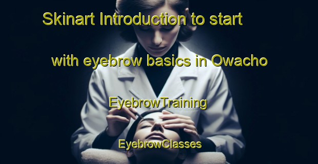 Skinart Introduction to start with eyebrow basics in Owacho | EyebrowTraining | EyebrowClasses | SkinartTraining-Japan