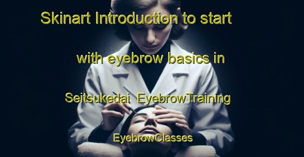 Skinart Introduction to start with eyebrow basics in Seitsukedai | EyebrowTraining | EyebrowClasses | SkinartTraining-Japan