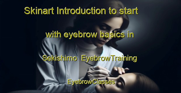 Skinart Introduction to start with eyebrow basics in Sekishimo | EyebrowTraining | EyebrowClasses | SkinartTraining-Japan