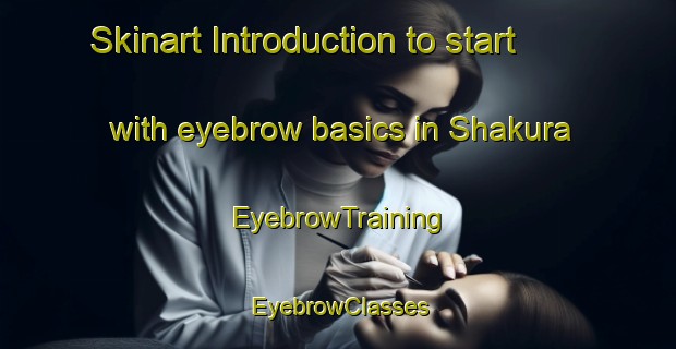Skinart Introduction to start with eyebrow basics in Shakura | EyebrowTraining | EyebrowClasses | SkinartTraining-Japan