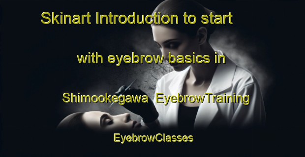 Skinart Introduction to start with eyebrow basics in Shimookegawa | EyebrowTraining | EyebrowClasses | SkinartTraining-Japan