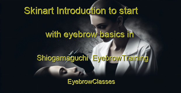 Skinart Introduction to start with eyebrow basics in Shiogamaguchi | EyebrowTraining | EyebrowClasses | SkinartTraining-Japan