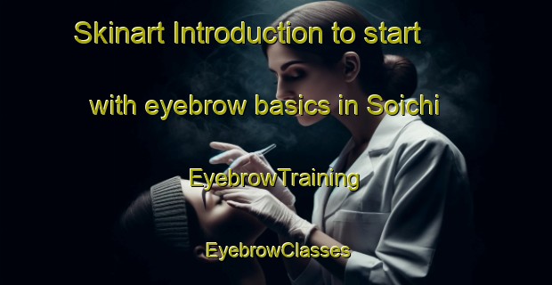 Skinart Introduction to start with eyebrow basics in Soichi | EyebrowTraining | EyebrowClasses | SkinartTraining-Japan
