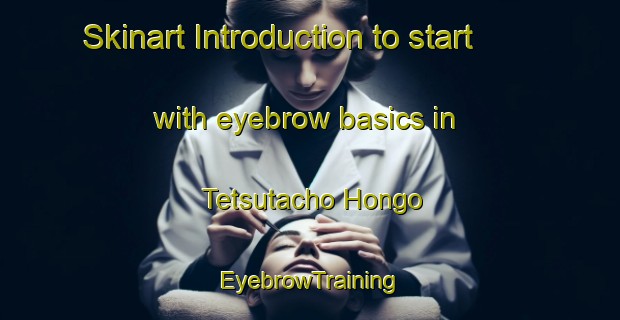 Skinart Introduction to start with eyebrow basics in Tetsutacho Hongo | EyebrowTraining | EyebrowClasses | SkinartTraining-Japan