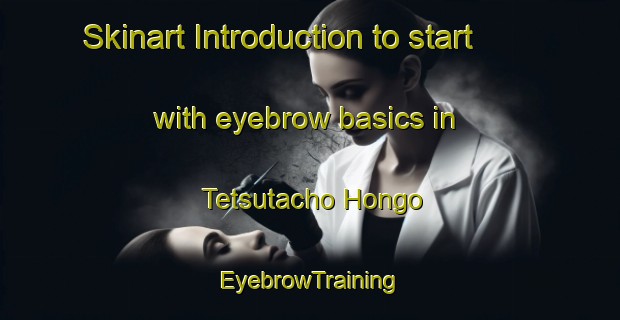 Skinart Introduction to start with eyebrow basics in Tetsutacho Hongo | EyebrowTraining | EyebrowClasses | SkinartTraining-Japan