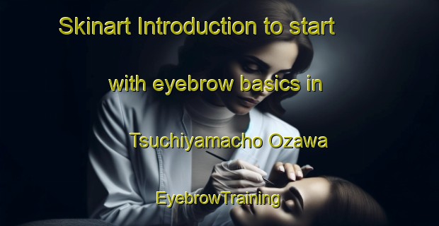 Skinart Introduction to start with eyebrow basics in Tsuchiyamacho Ozawa | EyebrowTraining | EyebrowClasses | SkinartTraining-Japan