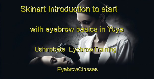 Skinart Introduction to start with eyebrow basics in Yuya Ushirobata | EyebrowTraining | EyebrowClasses | SkinartTraining-Japan