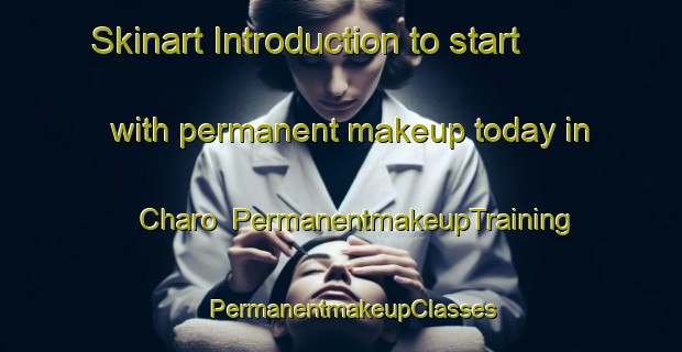 Skinart Introduction to start with permanent makeup today in Charo | PermanentmakeupTraining | PermanentmakeupClasses | SkinartTraining-Japan