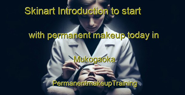 Skinart Introduction to start with permanent makeup today in Mukogaoka | PermanentmakeupTraining | PermanentmakeupClasses | SkinartTraining-Japan