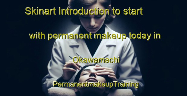 Skinart Introduction to start with permanent makeup today in Okawamachi | PermanentmakeupTraining | PermanentmakeupClasses | SkinartTraining-Japan