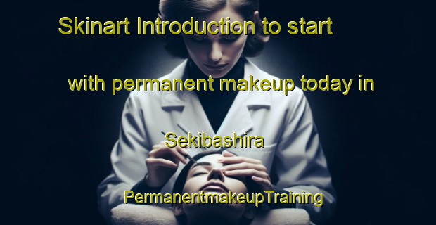 Skinart Introduction to start with permanent makeup today in Sekibashira | PermanentmakeupTraining | PermanentmakeupClasses | SkinartTraining-Japan
