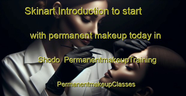 Skinart Introduction to start with permanent makeup today in Shodo | PermanentmakeupTraining | PermanentmakeupClasses | SkinartTraining-Japan