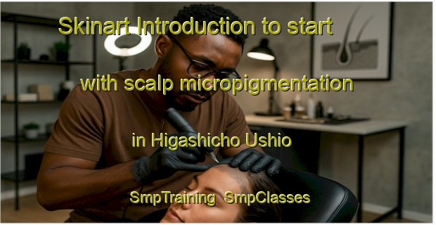 Skinart Introduction to start with scalp micropigmentation in Higashicho Ushio | SmpTraining | SmpClasses | SkinartTraining-Japan