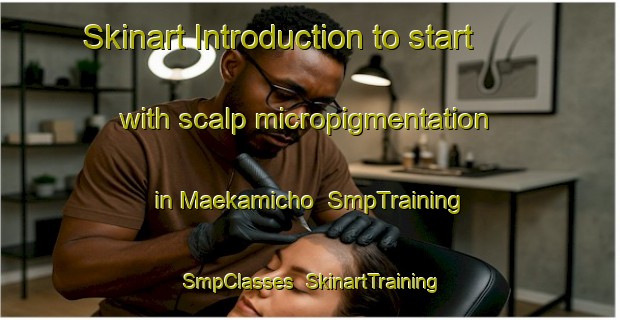 Skinart Introduction to start with scalp micropigmentation in Maekamicho | SmpTraining | SmpClasses | SkinartTraining-Japan