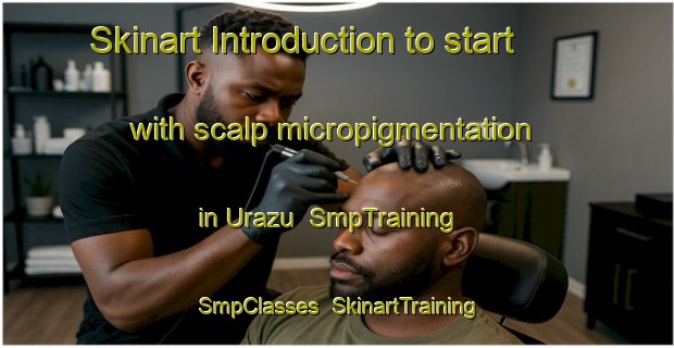Skinart Introduction to start with scalp micropigmentation in Urazu | SmpTraining | SmpClasses | SkinartTraining-Japan