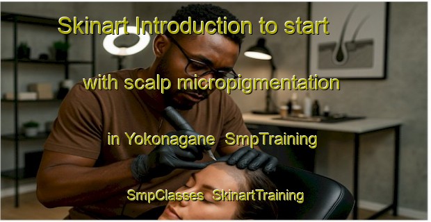 Skinart Introduction to start with scalp micropigmentation in Yokonagane | SmpTraining | SmpClasses | SkinartTraining-Japan