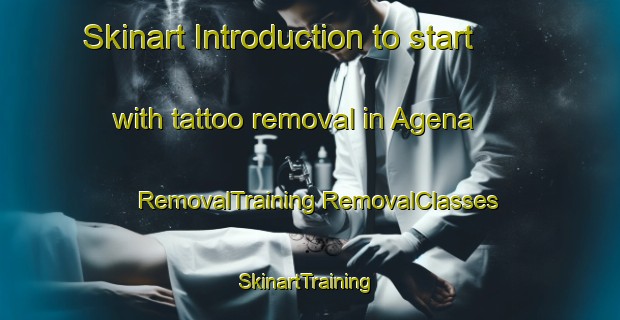 Skinart Introduction to start with tattoo removal in Agena | #RemovalTraining #RemovalClasses #SkinartTraining-Japan