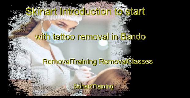 Skinart Introduction to start with tattoo removal in Bando | #RemovalTraining #RemovalClasses #SkinartTraining-Japan