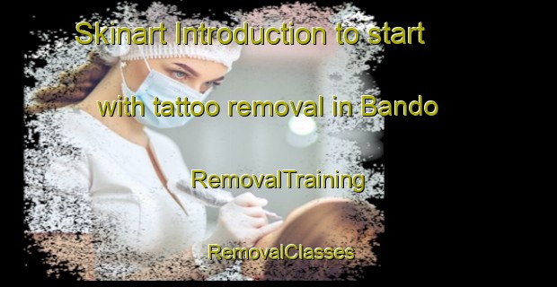 Skinart Introduction to start with tattoo removal in Bando | RemovalTraining | RemovalClasses | SkinartTraining-Japan