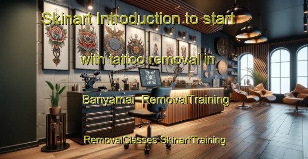 Skinart Introduction to start with tattoo removal in Banyamai | #RemovalTraining #RemovalClasses #SkinartTraining-Japan