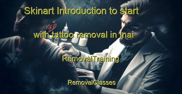 Skinart Introduction to start with tattoo removal in Inai | RemovalTraining | RemovalClasses | SkinartTraining-Japan