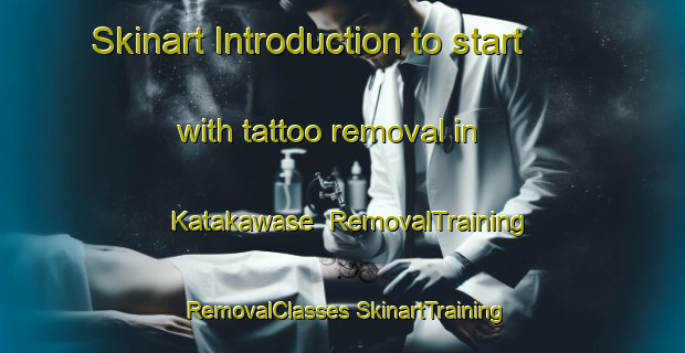 Skinart Introduction to start with tattoo removal in Katakawase | #RemovalTraining #RemovalClasses #SkinartTraining-Japan