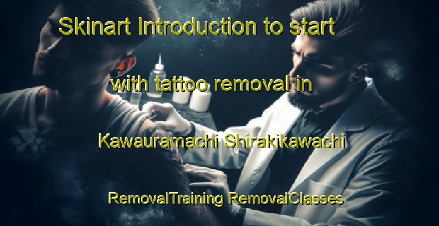 Skinart Introduction to start with tattoo removal in Kawauramachi Shirakikawachi | #RemovalTraining #RemovalClasses #SkinartTraining-Japan