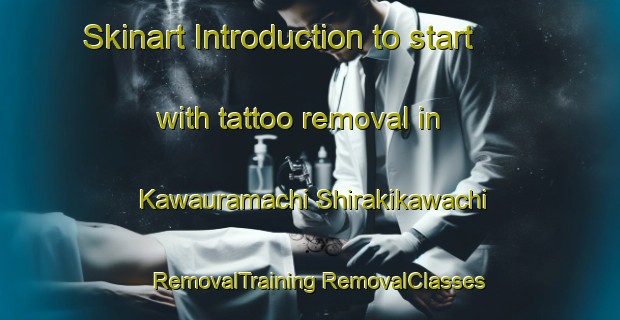 Skinart Introduction to start with tattoo removal in Kawauramachi Shirakikawachi | #RemovalTraining #RemovalClasses #SkinartTraining-Japan