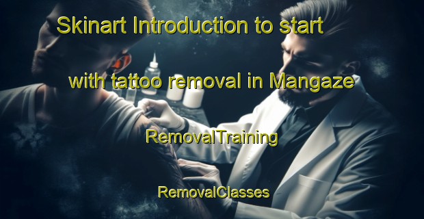 Skinart Introduction to start with tattoo removal in Mangaze | RemovalTraining | RemovalClasses | SkinartTraining-Japan