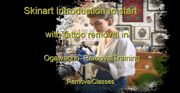 Skinart Introduction to start with tattoo removal in Ogawacho | RemovalTraining | RemovalClasses | SkinartTraining-Japan