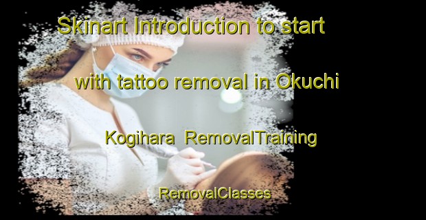 Skinart Introduction to start with tattoo removal in Okuchi Kogihara | RemovalTraining | RemovalClasses | SkinartTraining-Japan