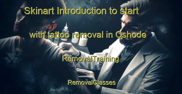 Skinart Introduction to start with tattoo removal in Oshode | RemovalTraining | RemovalClasses | SkinartTraining-Japan