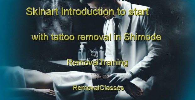 Skinart Introduction to start with tattoo removal in Shimode | RemovalTraining | RemovalClasses | SkinartTraining-Japan