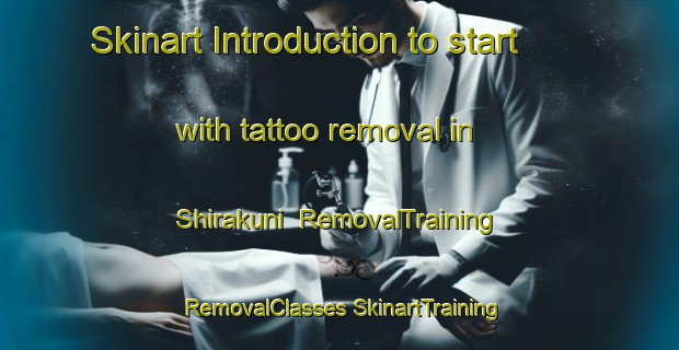 Skinart Introduction to start with tattoo removal in Shirakuni | #RemovalTraining #RemovalClasses #SkinartTraining-Japan