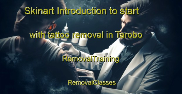 Skinart Introduction to start with tattoo removal in Tarobo | RemovalTraining | RemovalClasses | SkinartTraining-Japan