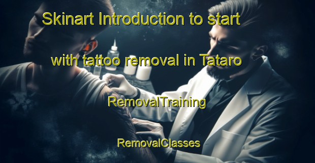 Skinart Introduction to start with tattoo removal in Tataro | RemovalTraining | RemovalClasses | SkinartTraining-Japan