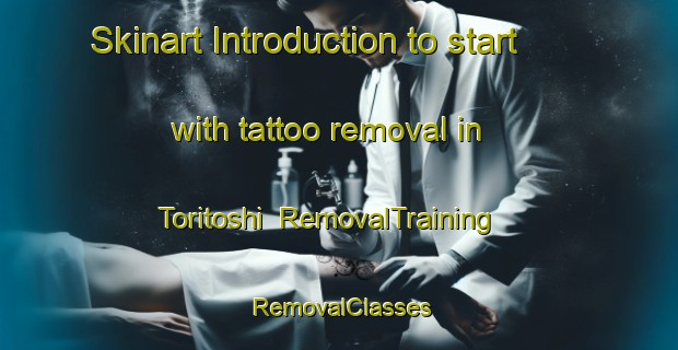 Skinart Introduction to start with tattoo removal in Toritoshi | RemovalTraining | RemovalClasses | SkinartTraining-Japan