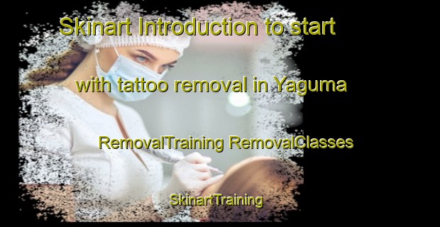 Skinart Introduction to start with tattoo removal in Yaguma | #RemovalTraining #RemovalClasses #SkinartTraining-Japan