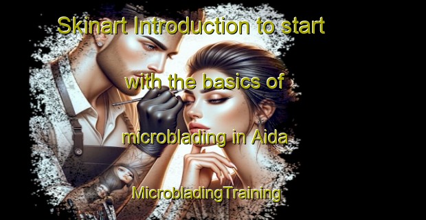 Skinart Introduction to start with the basics of microblading in Aida | MicrobladingTraining | MicrobladingClasses | SkinartTraining-Japan