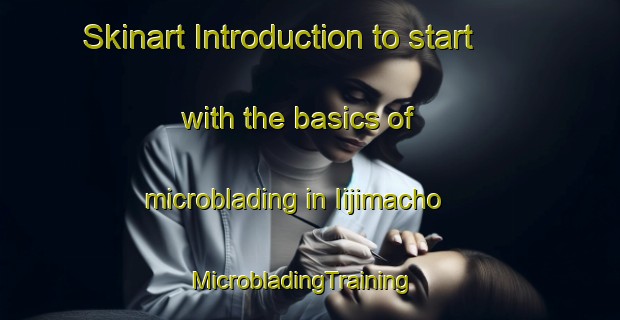 Skinart Introduction to start with the basics of microblading in Iijimacho | MicrobladingTraining | MicrobladingClasses | SkinartTraining-Japan
