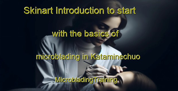 Skinart Introduction to start with the basics of microblading in Kataminechuo | MicrobladingTraining | MicrobladingClasses | SkinartTraining-Japan