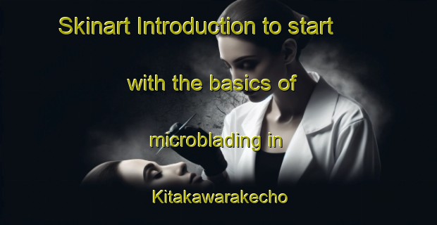 Skinart Introduction to start with the basics of microblading in Kitakawarakecho | MicrobladingTraining | MicrobladingClasses | SkinartTraining-Japan