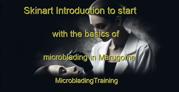 Skinart Introduction to start with the basics of microblading in Marugome | MicrobladingTraining | MicrobladingClasses | SkinartTraining-Japan