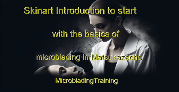Skinart Introduction to start with the basics of microblading in Matsukazecho | MicrobladingTraining | MicrobladingClasses | SkinartTraining-Japan