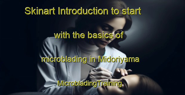 Skinart Introduction to start with the basics of microblading in Midoriyama | MicrobladingTraining | MicrobladingClasses | SkinartTraining-Japan