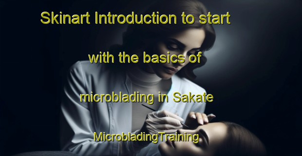 Skinart Introduction to start with the basics of microblading in Sakate | MicrobladingTraining | MicrobladingClasses | SkinartTraining-Japan