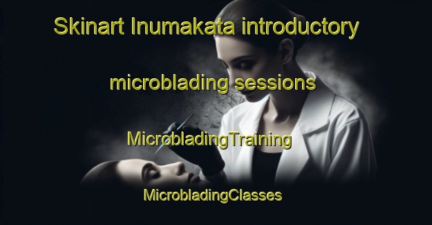Skinart Inumakata introductory microblading sessions | MicrobladingTraining | MicrobladingClasses | SkinartTraining-Japan