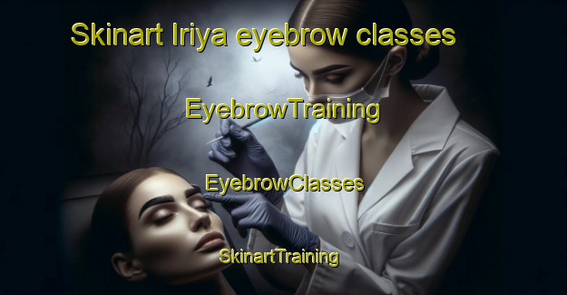 Skinart Iriya eyebrow classes | EyebrowTraining | EyebrowClasses | SkinartTraining-Japan