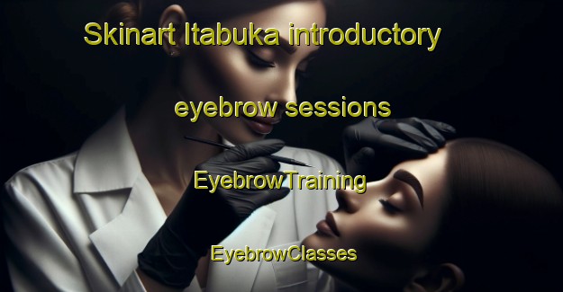 Skinart Itabuka introductory eyebrow sessions | EyebrowTraining | EyebrowClasses | SkinartTraining-Japan